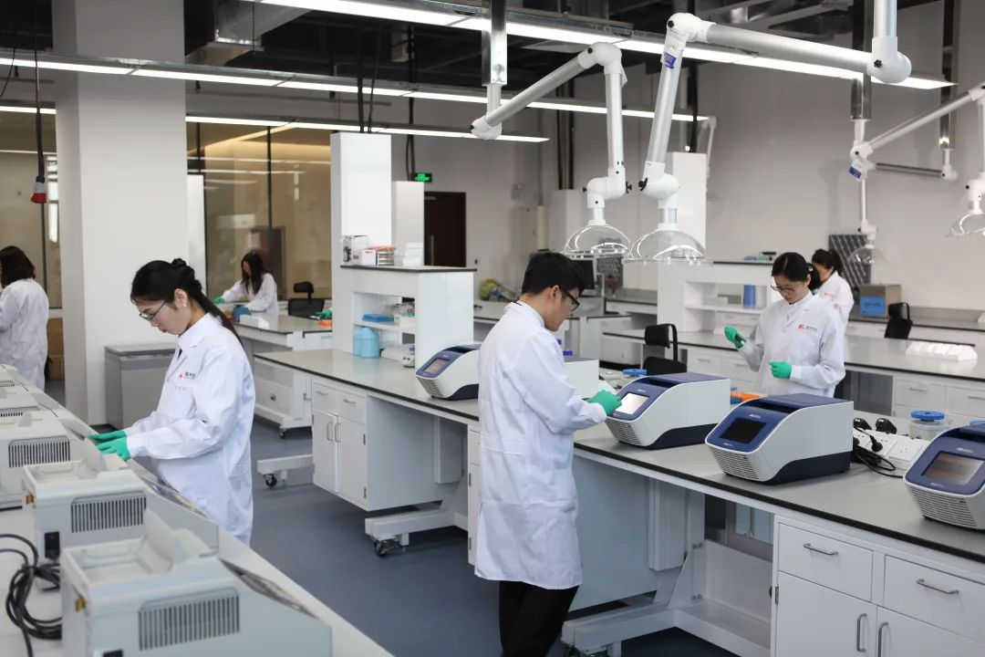 审核案例：保健品、建筑施工、实验室、客户售后、电子机械